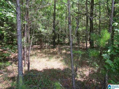 0 County Road 329 unit 8.41 1289420, Wedowee, AL 36278 - photo 4