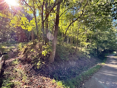 0 Coon Hollow Rd, Lucasville, OH 45648 - photo 2