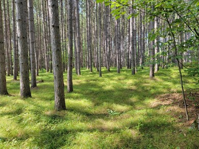 N8844 Walleye Way, Tomahawk, WI 54487 - photo 5