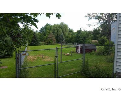Backyard. Deep back yard with plenty of space for 