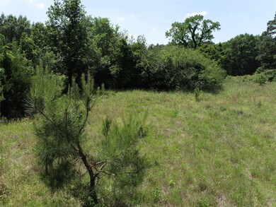 15380 Hickory Ridge Loop, Montgomery, TX 77316 - photo 4