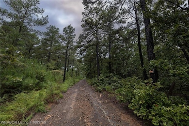 TBD Hoppers Pass, Wister, OK 74966 - photo 2