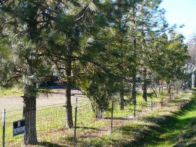 1361 Branstetter Ln, Redding, CA 96001 - photo 5