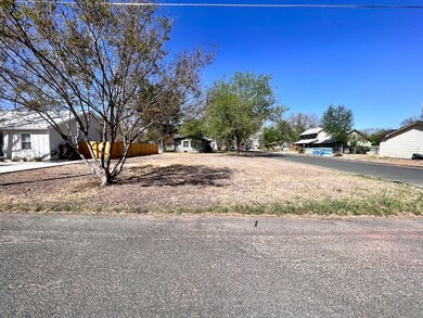 302 W Hackberry St unit 12, Fredericksburg, TX 78624 - photo 6