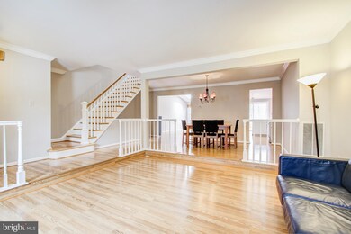 12253 Tildenwood Dr, Rockville, MD 20852 - photo 3