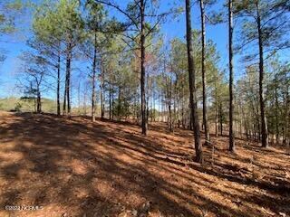 278 clearing