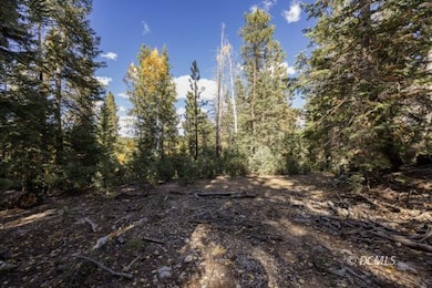 1815 E Beech Craft Dr, Duck Creek Village, UT 84762 - photo 5