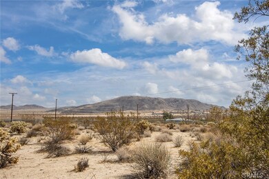 4 Mount Lassen Ave, Joshua Tree, CA 92252 - photo 3
