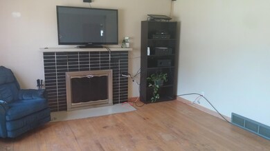 Log Fireplace with Gas Starter