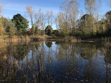 3035 4th St, Wayland, MI 49348 - photo 2