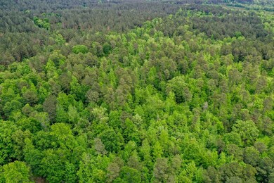 0000 Cantrell Rd, Amity, AR 71921 - photo 7