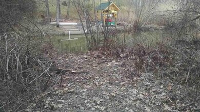 56 Famous Author Cir, Athens, NY 12015 - photo 3