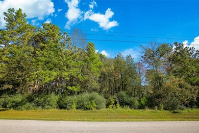 32511 Pebble Bend Way, Magnolia, TX 77354 - photo 3