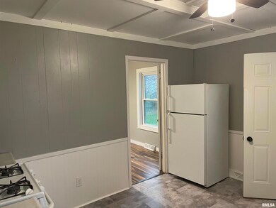 462 E Grant St, Virginia, IL 62691 - photo 5