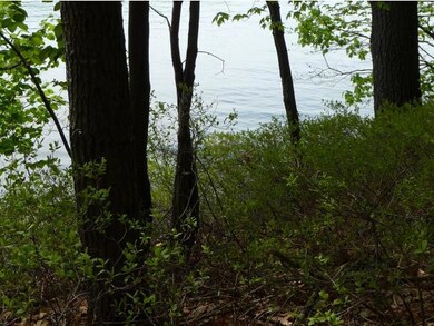 88B Rattlesnake Island, Alton, NH 03809 - photo 2