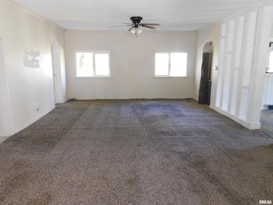 2517 State Highway 17, Viola, IL 61486 - photo 7