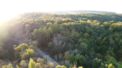 78+/- Acres TBD W Blanding Rd, Hanover, IL 61041 - photo 6