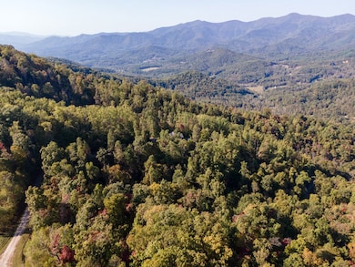 Lot 64 Lyle Mountain Trail, Franklin, NC 28734 - photo 3