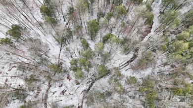 00 Lamb Rd, Newark Valley, NY 13811 - photo 3