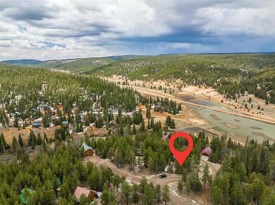 Drone view