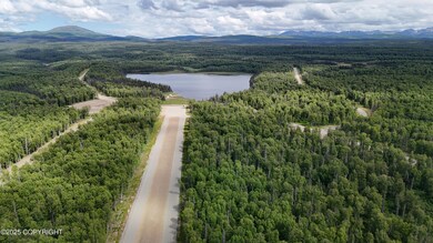 Airstrip_Looking North_3