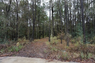 TBD Caddo Trail, Magnolia, TX 77354 - photo 4