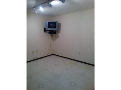Basement/Game Room. Finished room as you  garage w
