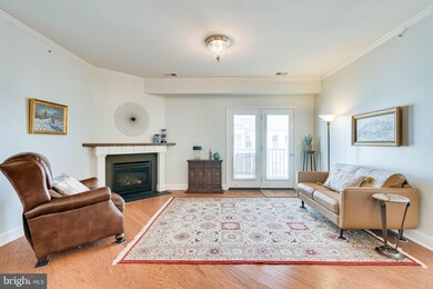 24660 Woolly Mammoth Terrace unit 401, Aldie, VA 20105 - photo 5