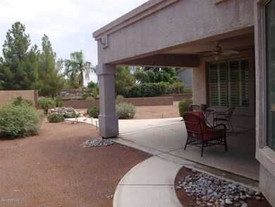 backyard 2