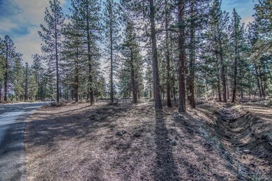 0 SW Ponderosa St unit 201800808, Bend, OR 97702 - photo 2