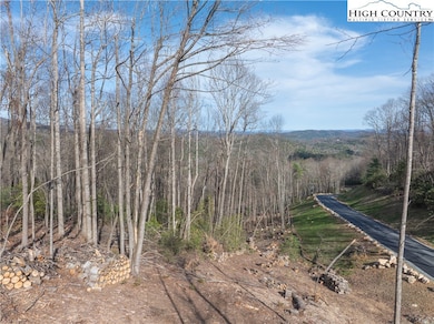 Lot 65 Angelfire Trail, Deep Gap, NC 28618 - photo 3