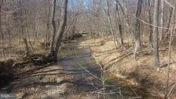 0 Blue Brook Rd unit 1002888482, Berkeley Springs, WV 25411 - photo 2