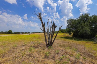 13 Aslan Rd, Poolville, TX 76487 - photo 4