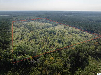 000 Highway 143, Linville, LA 71206 - photo 3