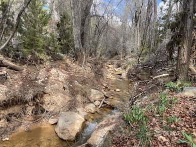 317 Sunflower, Duck Creek Village, UT 84762 - photo 2