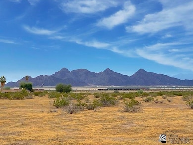 0000 Evelyn St, Wellton, AZ 85356 - photo 6