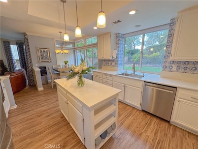 31785 Via Del Viento, Trabuco Canyon, CA 92679 - photo 6