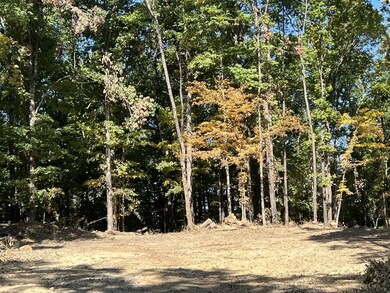 0 Highway 232 unit 128207, Stewart, TN 37175 - photo 4