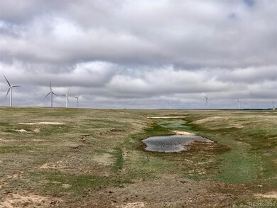 0004 Calhan Hwy, Calhan, CO 80808 - photo 4