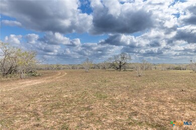 TBD County Road 113, Nixon, TX 78140 - photo 4