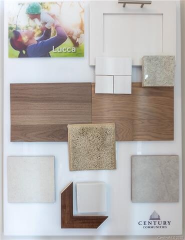 Interior Color Scheme