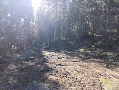 1196 Doe Rd, Rail Road Flat, CA 95245 - photo 4