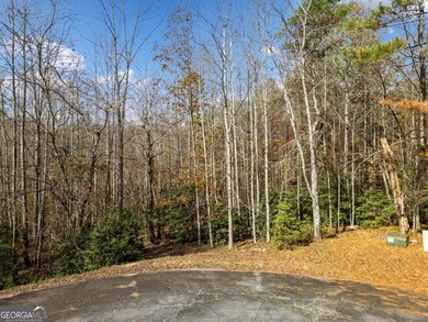 Lot 7 Highpoint Ridge Rd unit 7, Ellijay, GA 30536 - photo 4