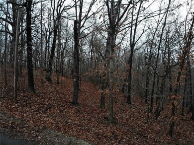 Lot 92 Pickering Dr, Bella Vista, AR 72714 - photo 7