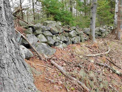 671 Hilltop Rd, Littleton, NH 03561 - photo 7