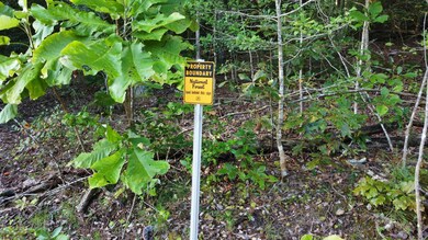 LOT 2 Shoreside at Sipsey, Double Springs, AL 35553 - photo 6