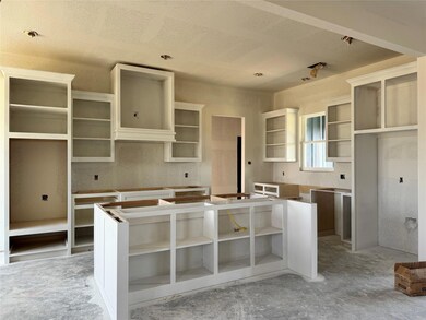 3789 Pine Rd, Poolville, TX 76487 - photo 3