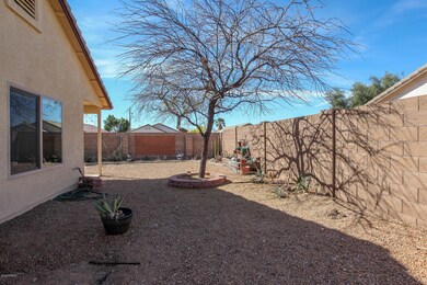 2 Backyard2