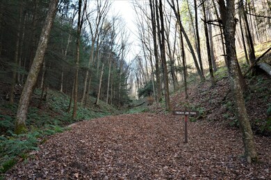 CAMP FRENCH JOES TRAIL