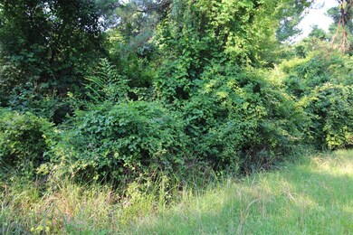 0 Bradbury Dr unit 78869892, Hockley, TX 77447 - photo 7